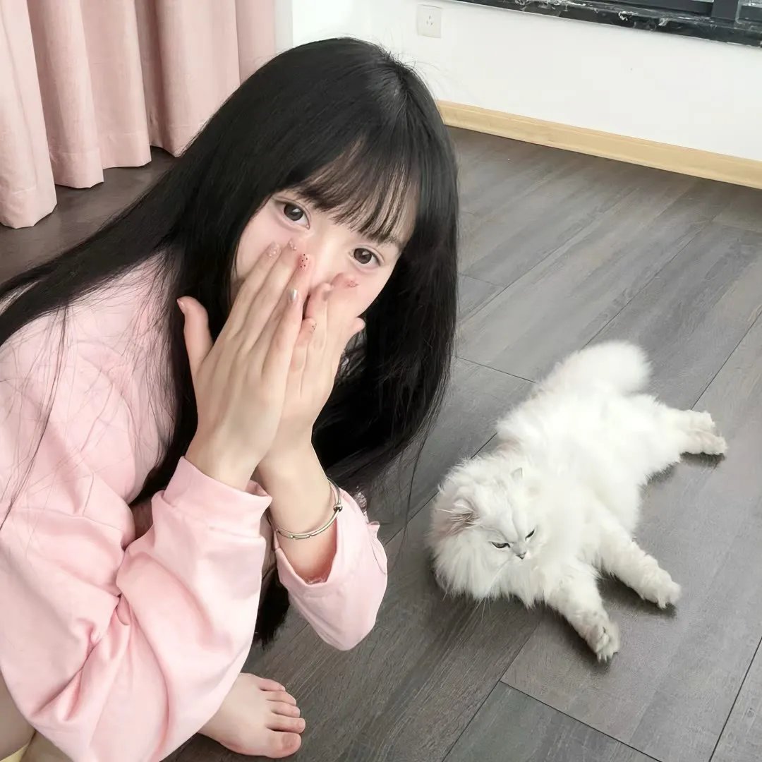 大明王朝1566