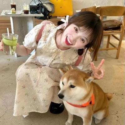 朱门情仇